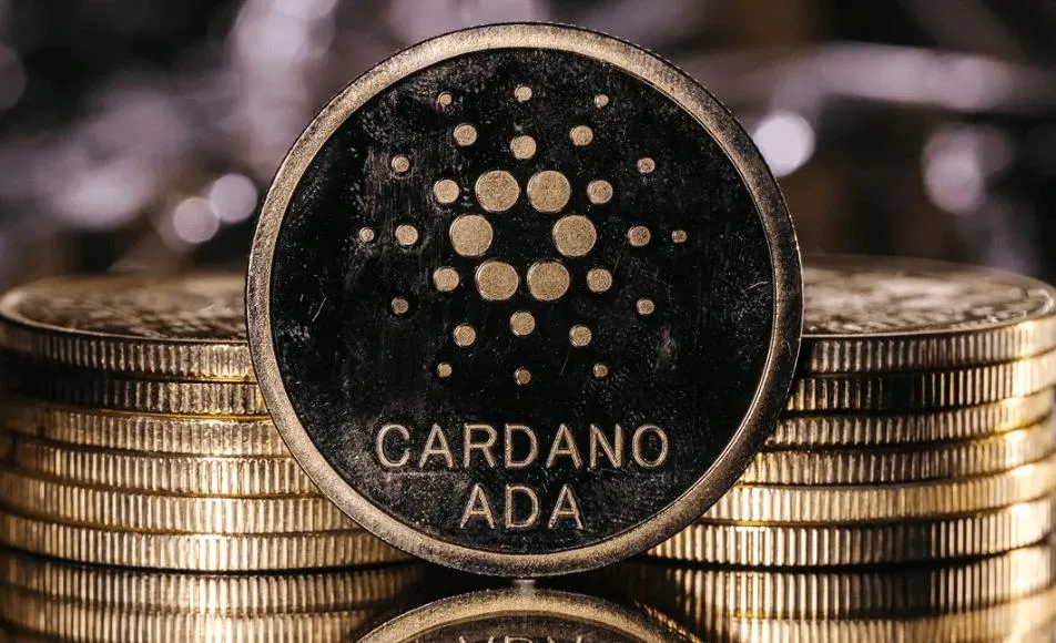 Cardano casino en France